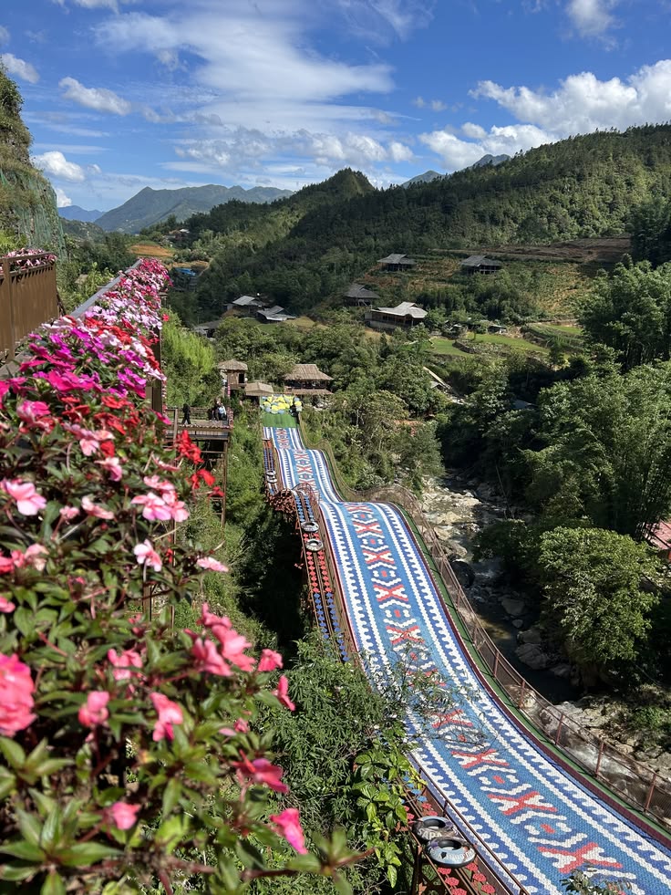 沙壩第一天｜番西邦雲海 · 芒花火車 · 貓貓村文化漫遊